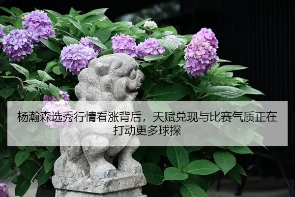 杨瀚森选秀行情看涨背后，天赋兑现与比赛气质正在打动更多球探