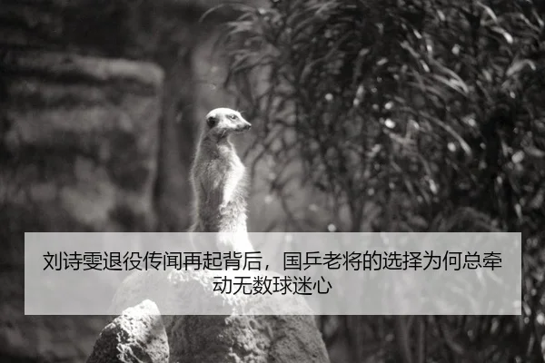 刘诗雯退役传闻再起背后，国乒老将的选择为何总牵动无数球迷心